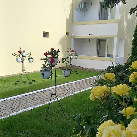 Ana Avrig * ונוס