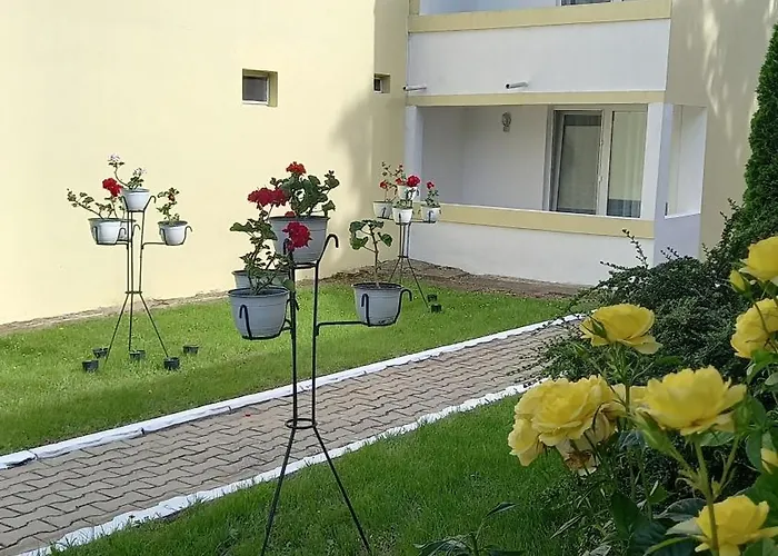 Ana Avrig * ונוס